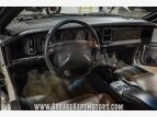 Thumbnail Photo 4 for 1991 Pontiac Firebird Trans Am Coupe